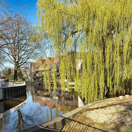 Nino-boardinghouse 1 *